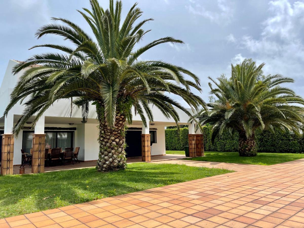 Green House Ponta Delgada  Exterior photo